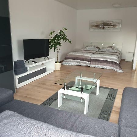 Carina Apartment Kandern Extérieur photo